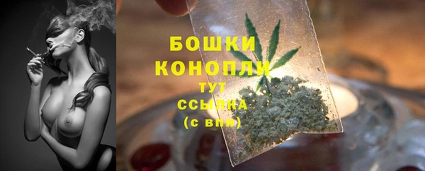 мдпв Майский