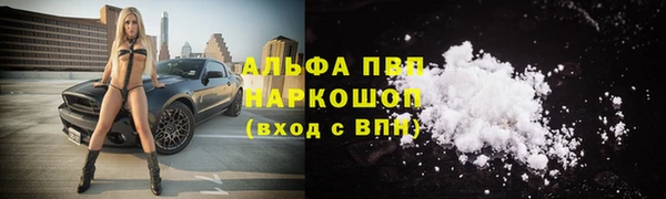 бошки Магас