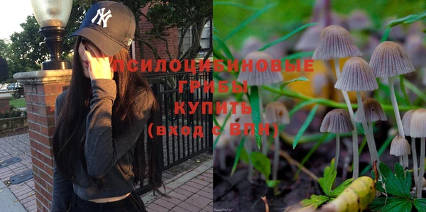 мдпв Майский