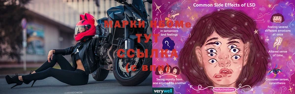 мдпв Майский