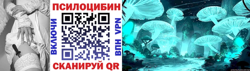 MEGA ссылка  как найти   Сосновый Бор  Псилоцибиновые грибы мухоморы 