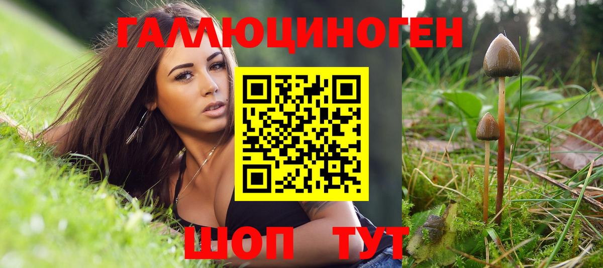 Псилоцибиновые грибы мицелий  Вход с VPN  Галлюциногенные грибы Psilocybine cubensis  Сосновый Бор 