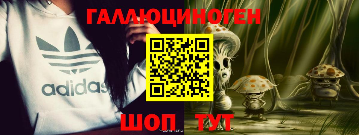 Псилоцибиновые грибы мухоморы Сосновый Бор